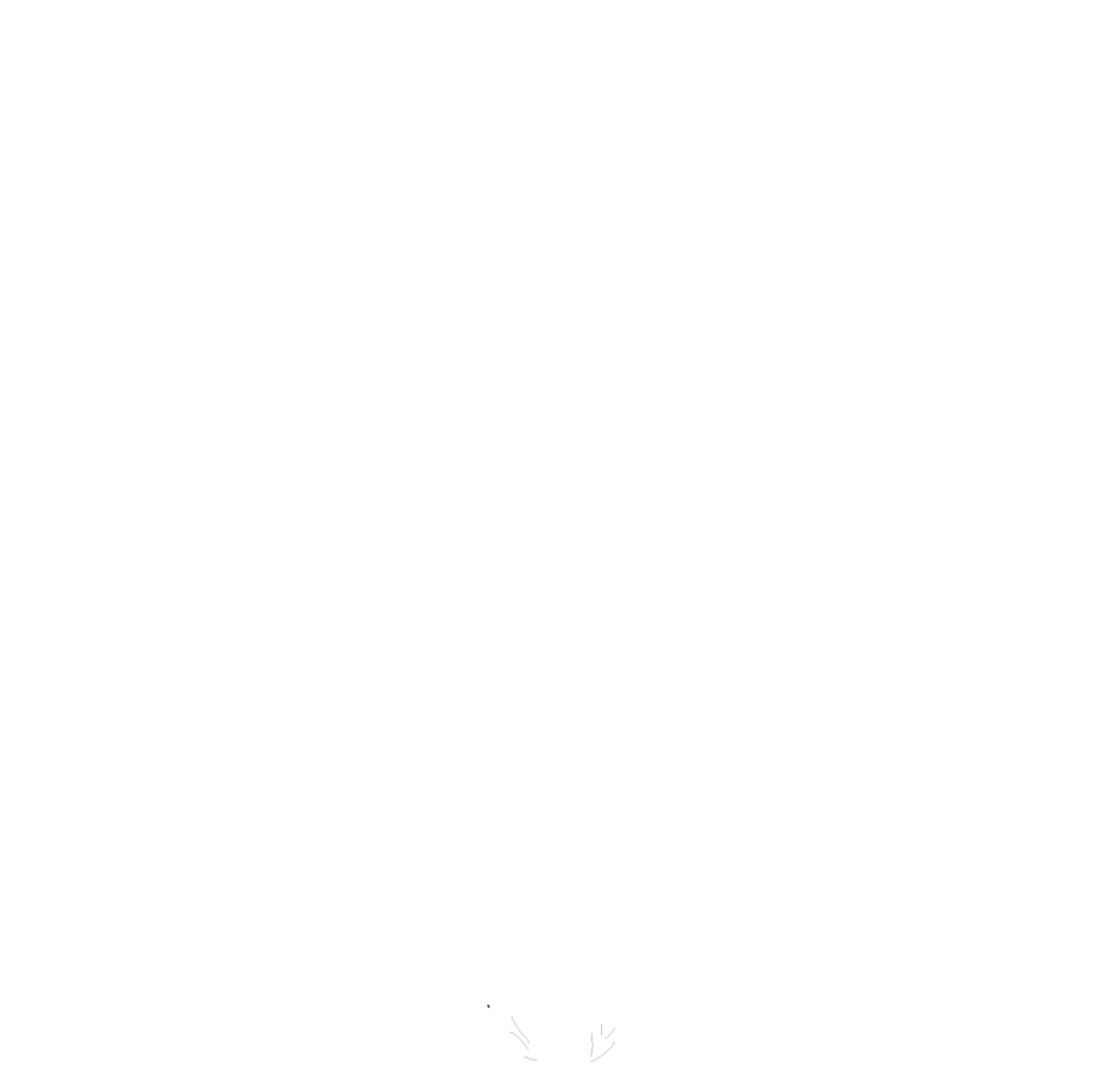 לוגו קפה פולה